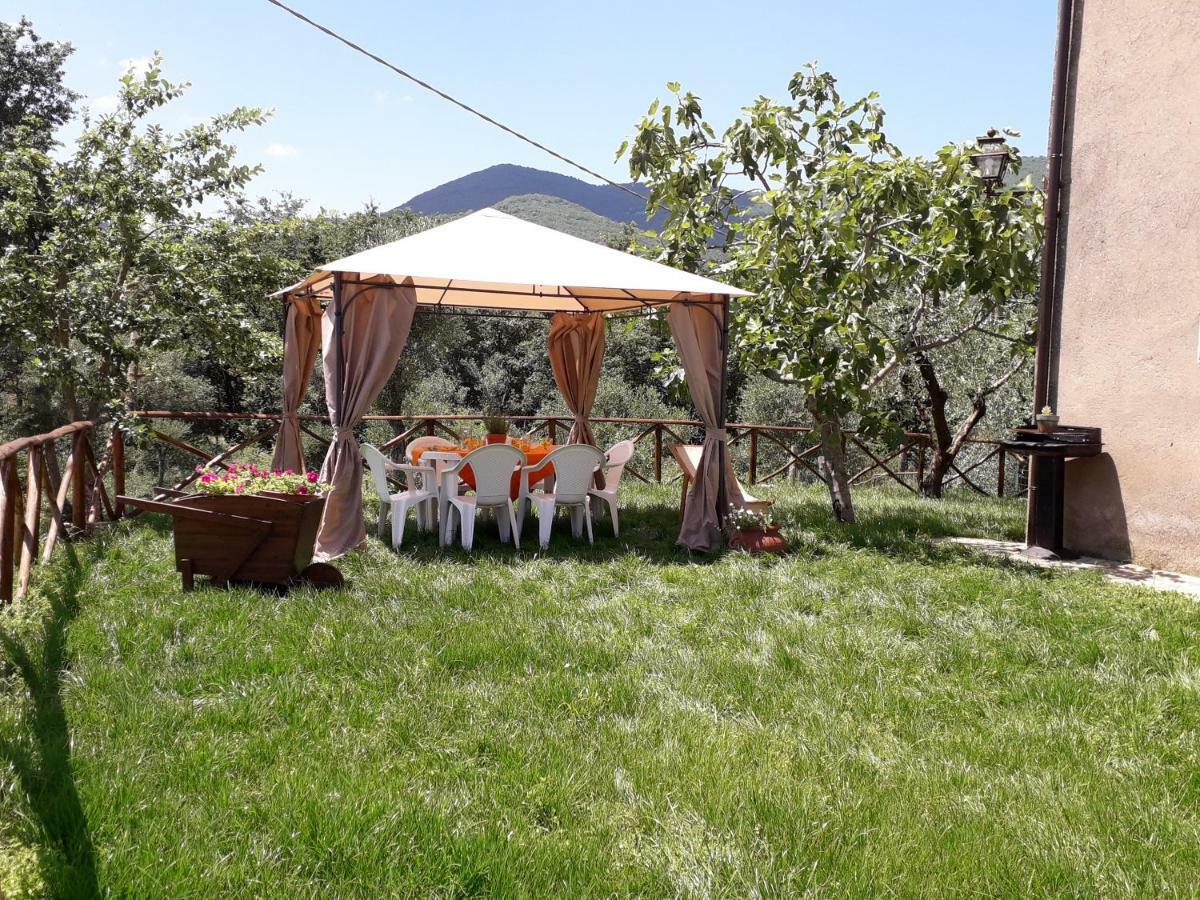 Alle Preci Country House Santa Restituta Exteriér fotografie